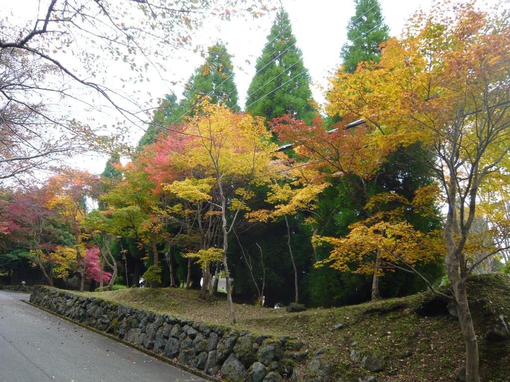 Pension Bell Bird 阿蘇市 エクステリア 写真